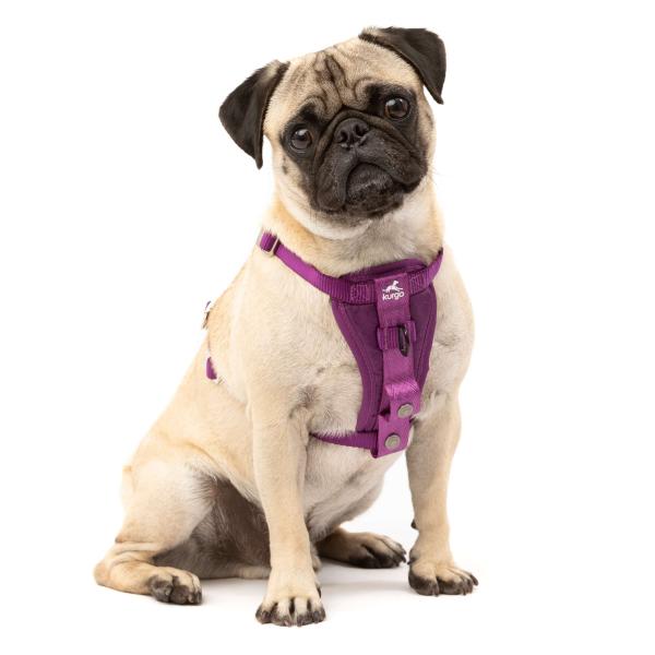 Kurgo Enhanced Strenght Tru-Fit-Smart Harness (incl. Seat Belt Tether) Purple Gr. S Kurgo Enhanced Strenght Tru-Fit-Smart Harness (incl. Seat Belt Tether) Purple Gr. S